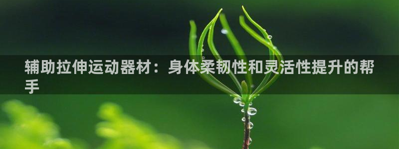 意昂体育3招商电话地址是多少：辅助拉伸运动器材：身体
