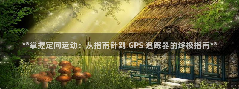 意昂体育3平台假的吗是真的吗：**掌握定向运动：从指