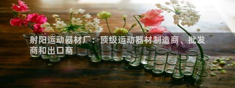 意昂3官网：射阳运动器材厂：顶级运动器材制造商、批发