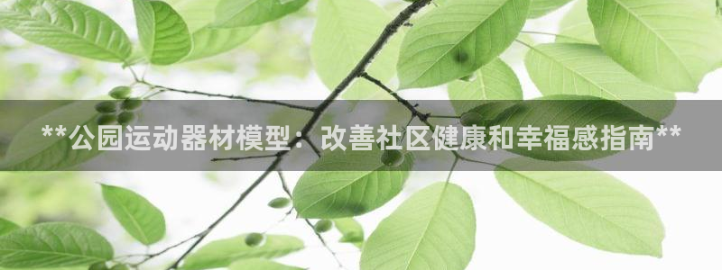 意昂3官方：**公园运动器材模型：改善社区健康和幸福感指南*