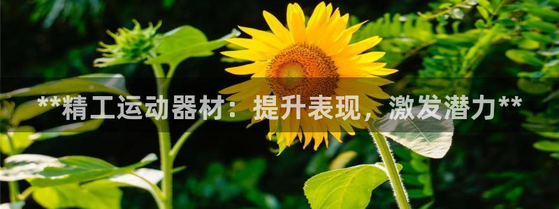意昂3开户：**精工运动器材：提升表现，激发潜力**