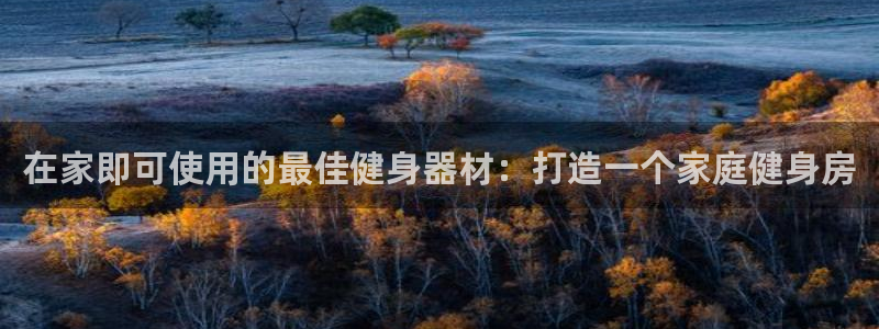 意昂体育3招商电话是多少号码：在家即可使用的最佳健身