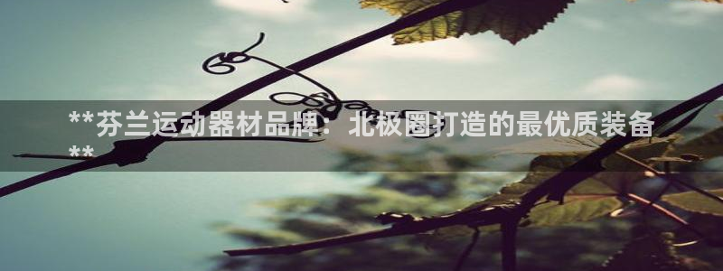 意昂体育3招商电话号码：**芬兰运动器材品牌：北极圈