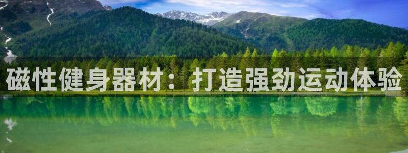 意昂体育3平台注册要钱吗：磁性健身器材：打造强劲运动