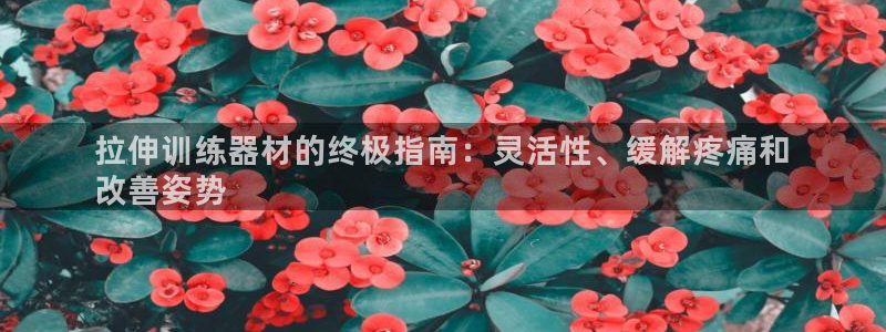 海南意昂体育3：拉伸训练器材的终极指南：灵活性、缓解