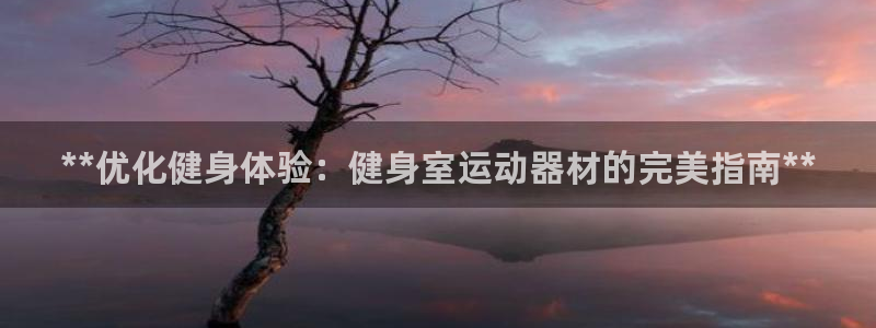 意昂体育3招商：**优化健身体验：健身室运动器材的完