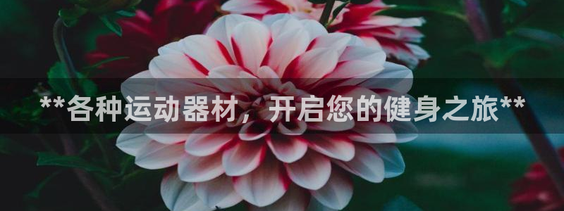 意昂3集团E.ON：**各种运动器材，开启您的健身之