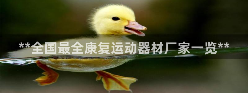 意昂体育3招商：**全国最全康复运动器材厂家一览**