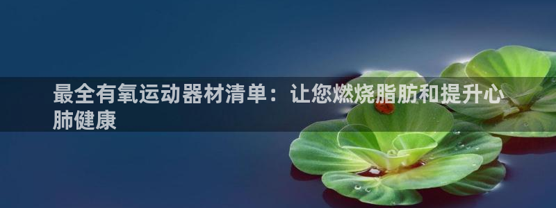 意昂3官网：最全有氧运动器材清单：让您燃烧脂肪和提升