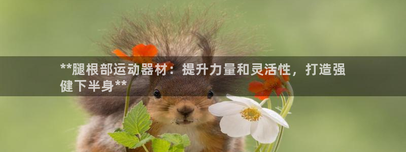 意昂体育3官方客服电话：**腿根部运动器材：提升力量