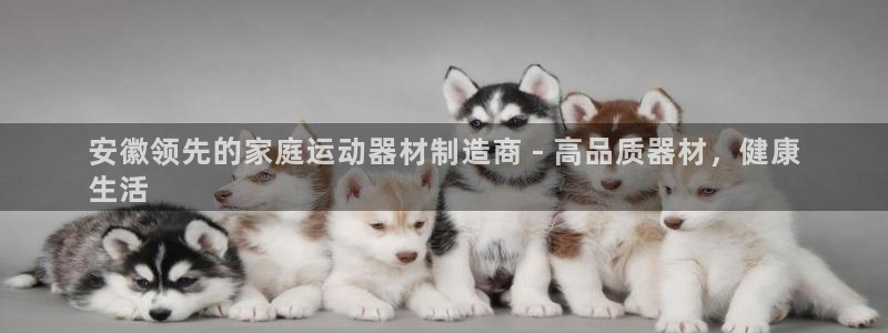 意昂体育3平台是正规平台吗安全吗：安徽领先的家庭运动