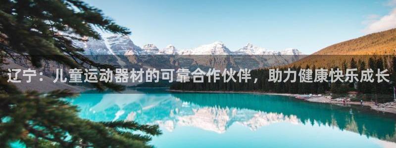 意昂3集团简介：辽宁：儿童运动器材的可靠合作伙伴，助