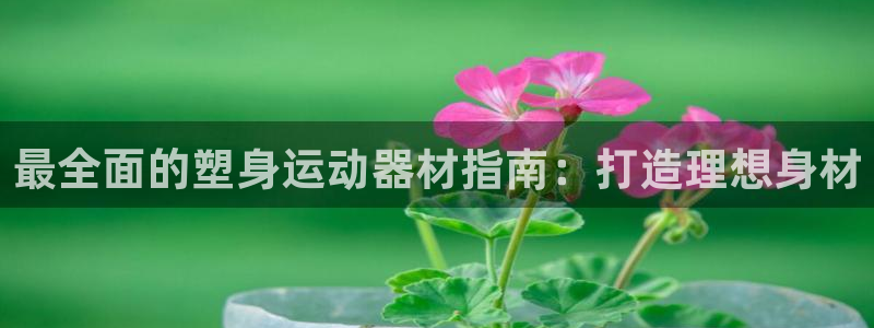 意昂3科技：最全面的塑身运动器材指南：打造理想身材
