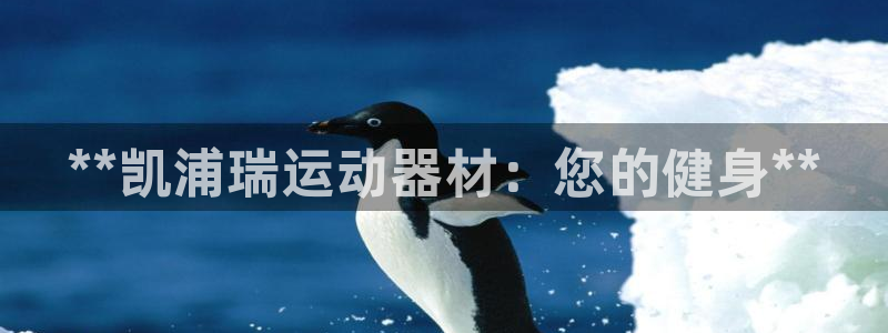 意昂体育3软件：**凯浦瑞运动器材：您的健身**