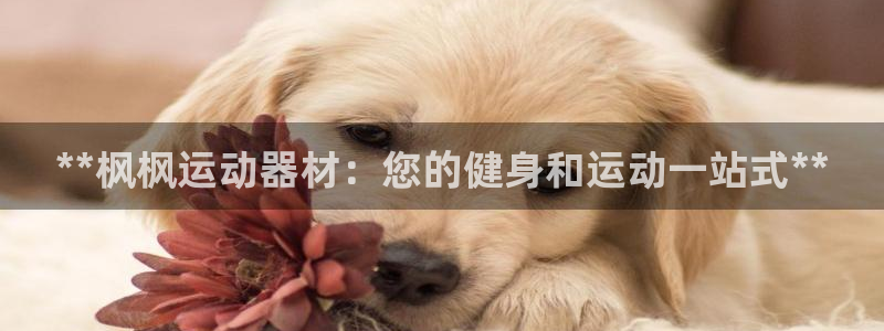 意昂体育3平台APP：**枫枫运动器材：您的健身和运