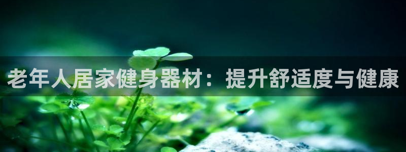 意昂体育3招商电话是多少啊：老年人居家健身器材：提升