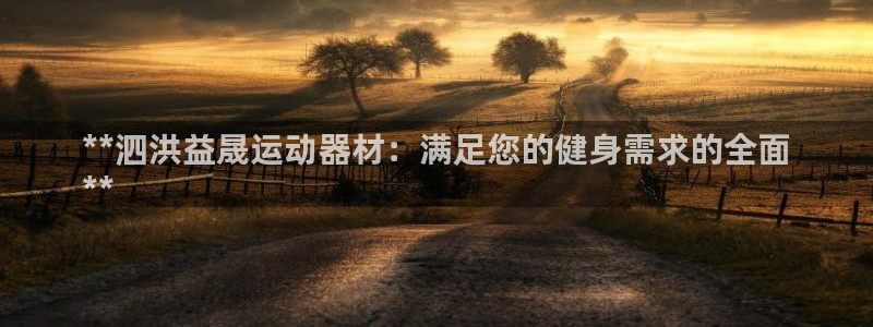 意昂3神州：**泗洪益晟运动器材：满足您的健身需求的