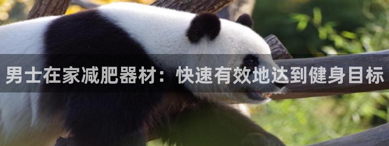 意昂体育3平台是正规平台吗：男士在家减肥器材：快速有