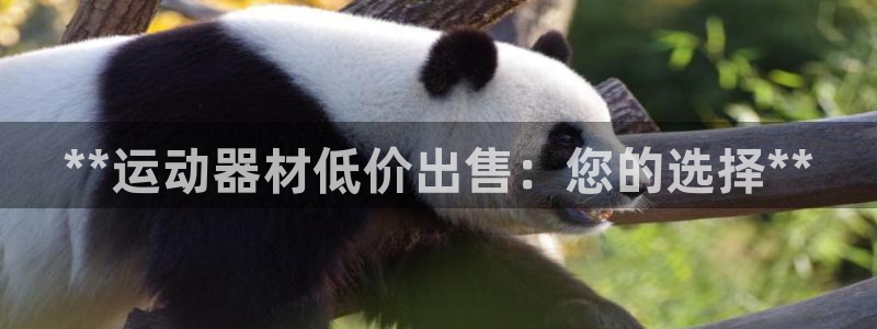 意昂体育3招商电话地址是多少：**运动器材低价出售：