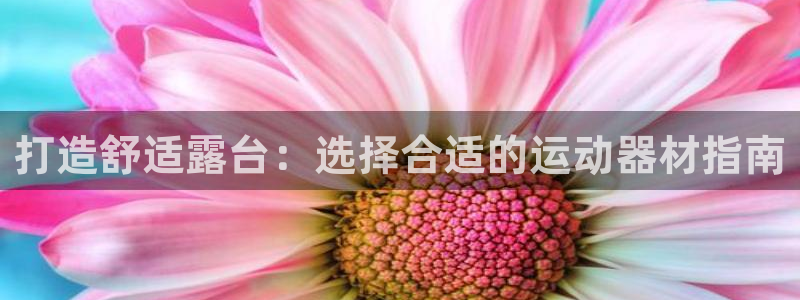 意昂3官网：打造舒适露台：选择合适的运动器材指南