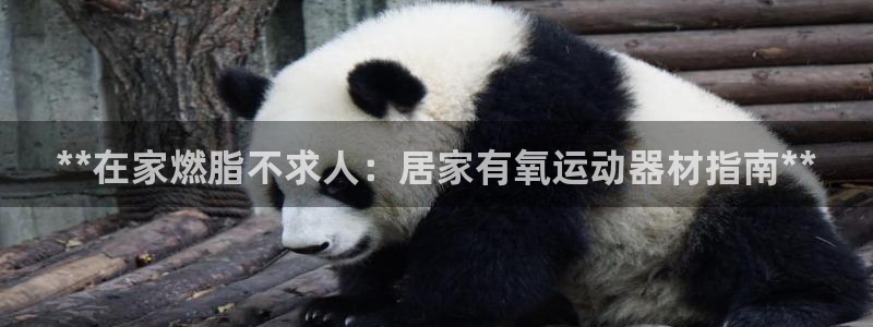 意昂体育3招商电话号码：**在家燃脂不求人：居家有氧