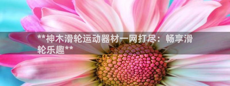 意昂体育3招商：**神木滑轮运动器材一网打尽：畅享滑