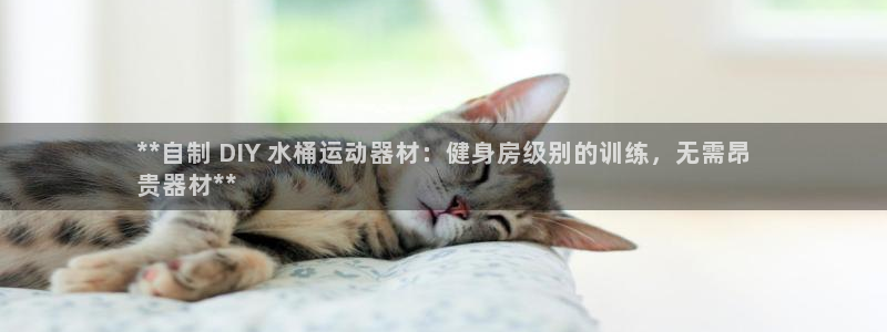 意昂3开户：**自制 DIY 水桶运动器材：健身房级