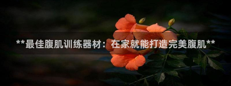 意昂体育3招商电话号码查询：**最佳腹肌训练器材：在