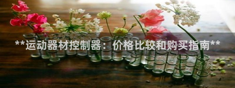 海南意昂体育3发展怎么样：**运动器材控制器：价格比