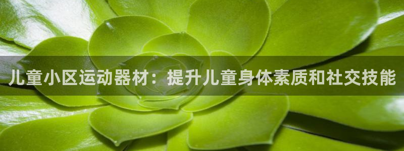 意昂体育3招商电话：儿童小区运动器材：提升儿童身体素