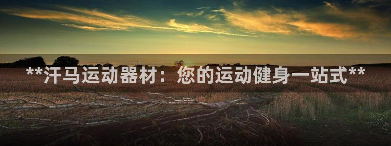 意昂3神州：**汗马运动器材：您的运动健身一站式**