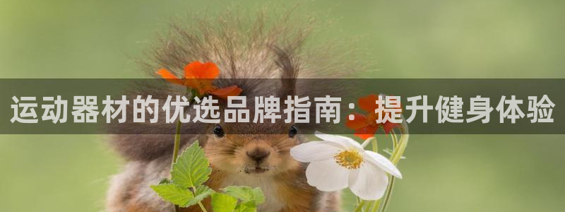 海南意昂体育3：运动器材的优选品牌指南：提升健身体验