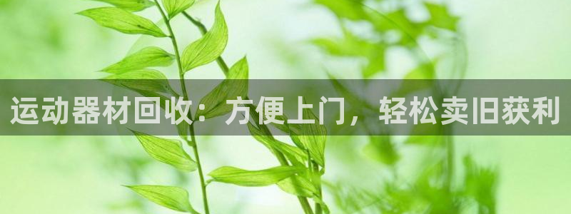 意昂体育3招商