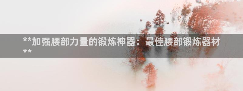 意昂体育3平台是正规平台吗安全吗：**加强腰部力量的