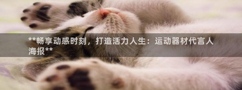 意昂3集团：**畅享动感时刻，打造活力人生：运动器材