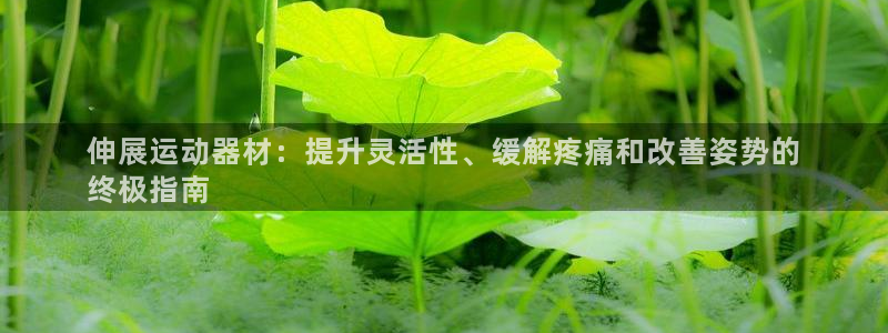 意昂体育3平台假的吗是真的吗：伸展运动器材：提升灵活
