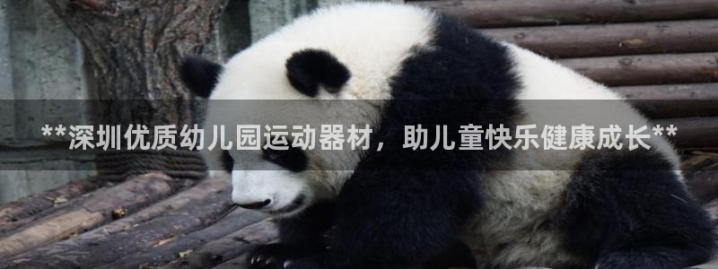 意昂3娱乐平台：**深圳优质幼儿园运动器材，助儿童快乐健康成