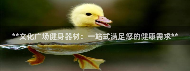 意昂体育3招商电话号码是多少啊：**文化广场健身器材：一站式