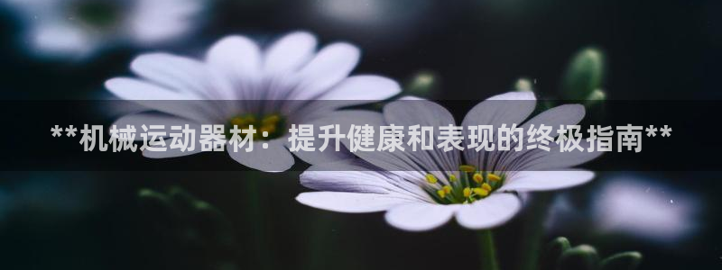 意昂3代理：**机械运动器材：提升健康和表现的终极指南**
