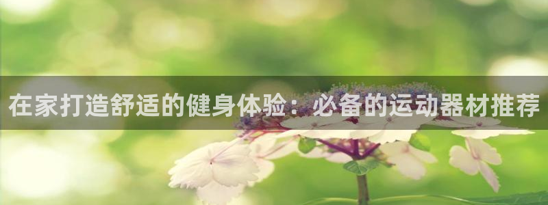 意昂体育3平台是正规平台吗安全吗：在家打造舒适的健身体验：必
