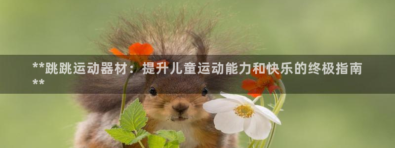 意昂3娱乐首页官网下载：**跳跳运动器材：提升儿童运