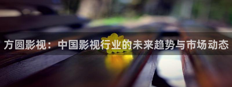 偷偷藏不住真不卡影院：方圆影视：中国影视行业的未来趋势与市场动态