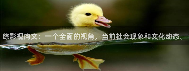 真不卡影院网站：综影视肉文：一个全面的视角，当前社会现象和文化动态。