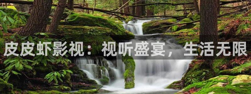 真不卡影院吧：皮皮虾影视：视听盛宴，生活无限