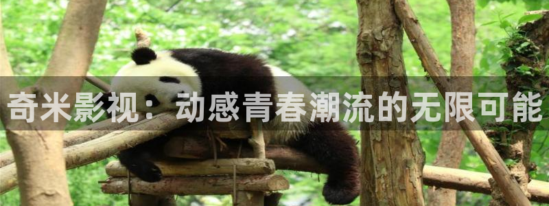 真不卡影视app软件下载：奇米影视：动感青春潮流的无限可能