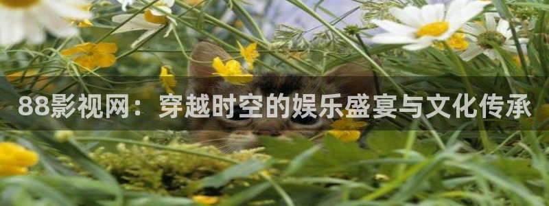 真不卡影院免费观看：88影视网：穿越时空的娱乐盛宴与文化传承