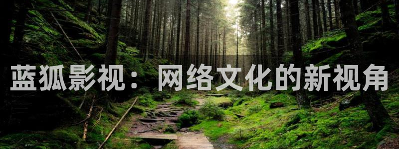 真不卡影视：蓝狐影视：网络文化的新视角