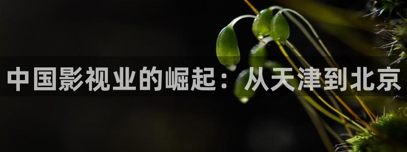 .真不卡影院：中国影视业的崛起：从天津到北京