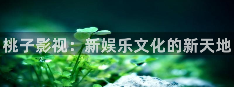 真不卡影视在线：桃子影视：新娱乐文化的新天地