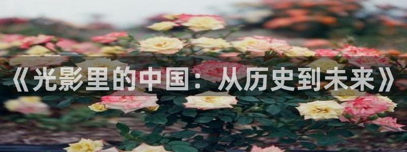 狂飙电视剧全集免费播放真不卡影院：《光影里的中国：从历史到未来》